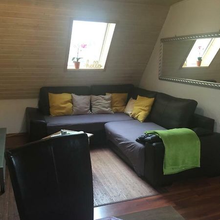 Wohnung Nur Fuer Monteure Und Handwerker Bad Krozingen Kültér fotó